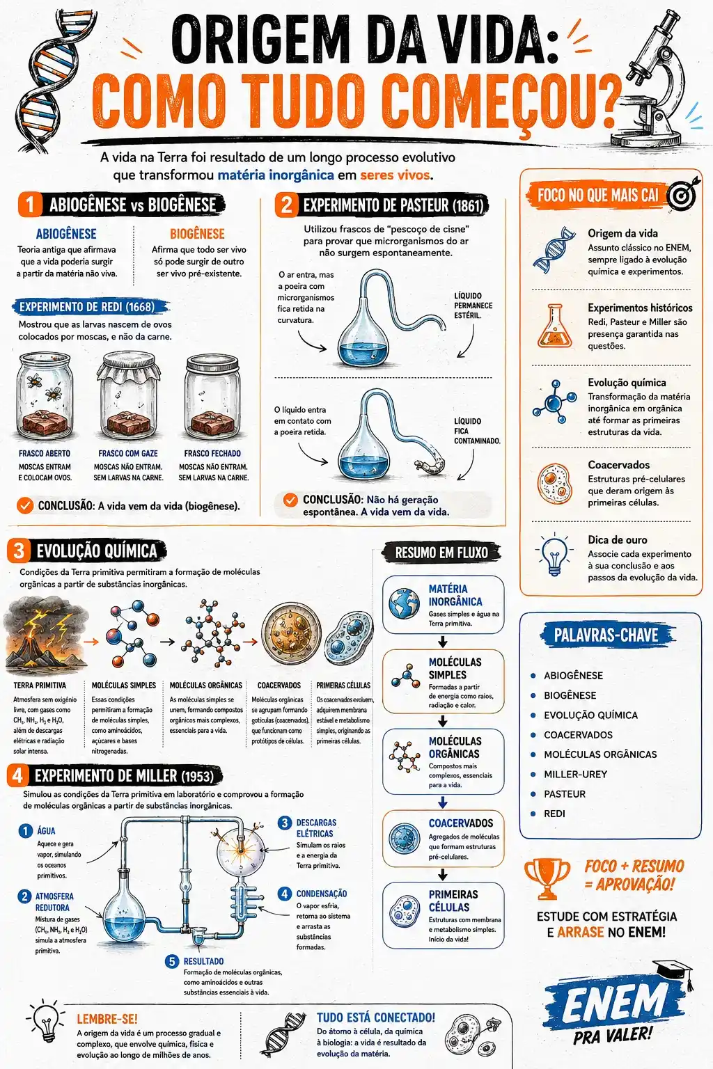 Prévia resumo visual de Biologia