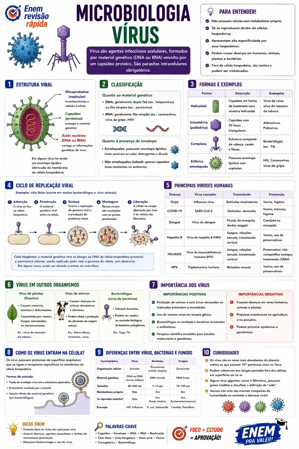Prévia resumo visual de Biologia