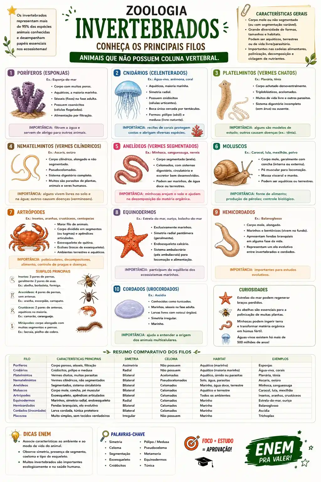 Prévia resumo visual de Biologia
