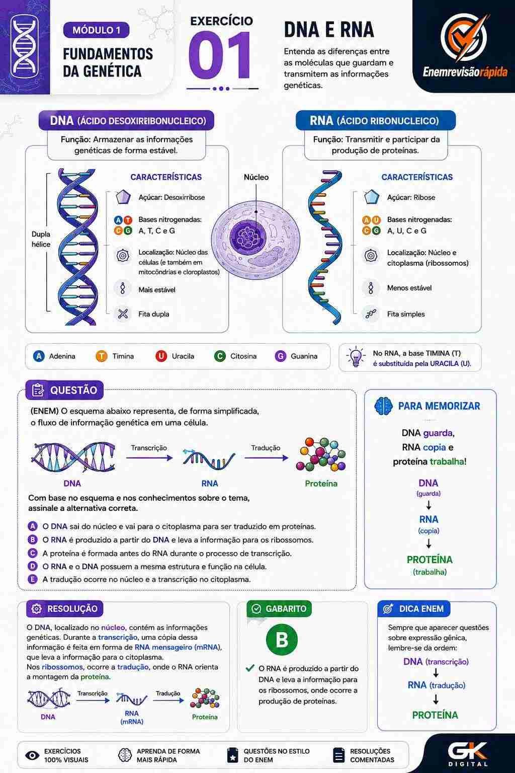 Prévia resumo visual de Biologia