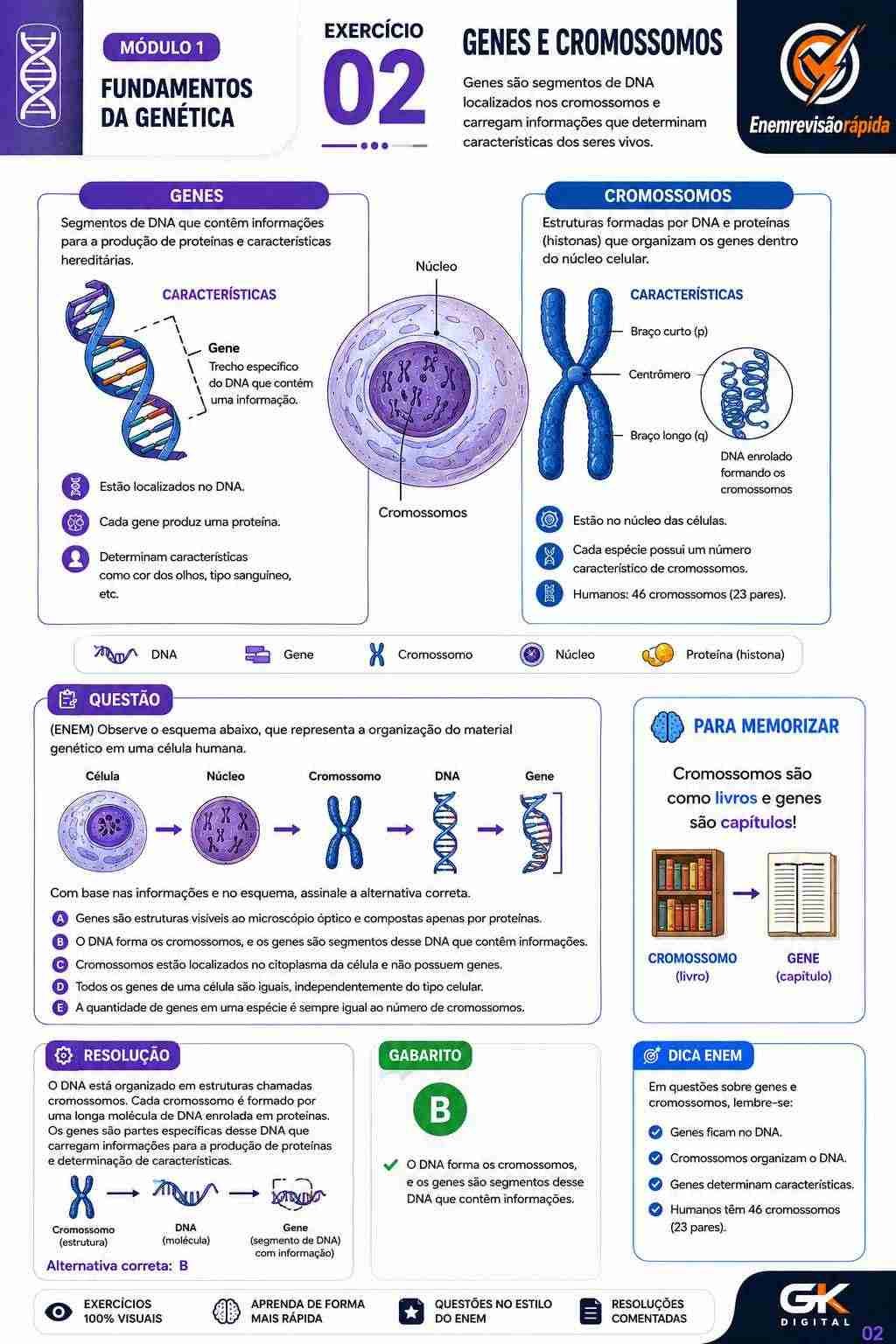 Prévia resumo visual de Biologia
