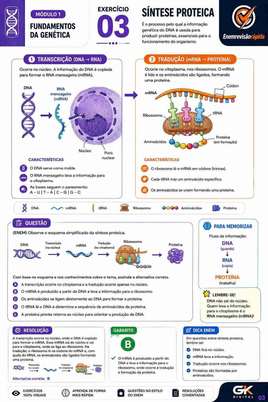 Prévia resumo visual de Biologia
