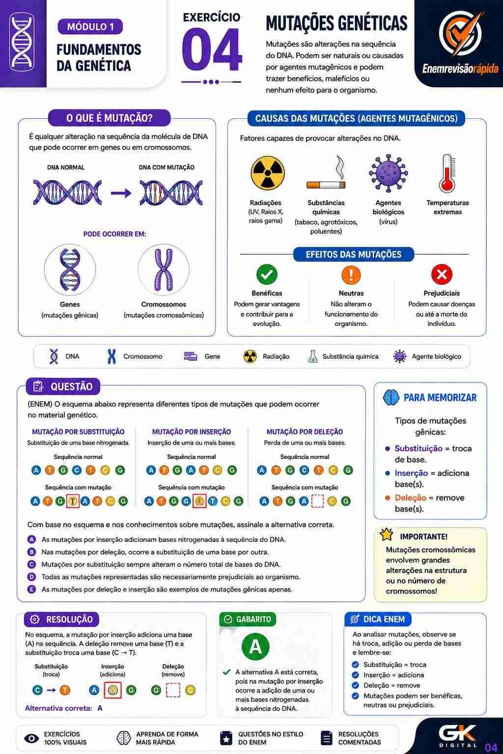 Prévia resumo visual de Biologia