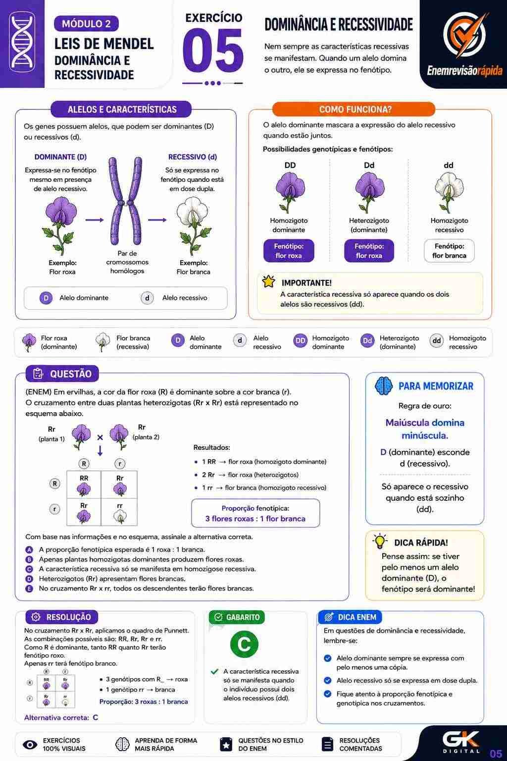 Prévia resumo visual de Biologia