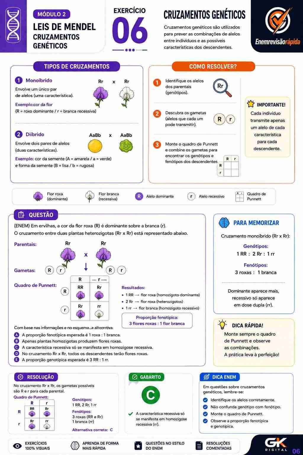 Prévia resumo visual de Biologia
