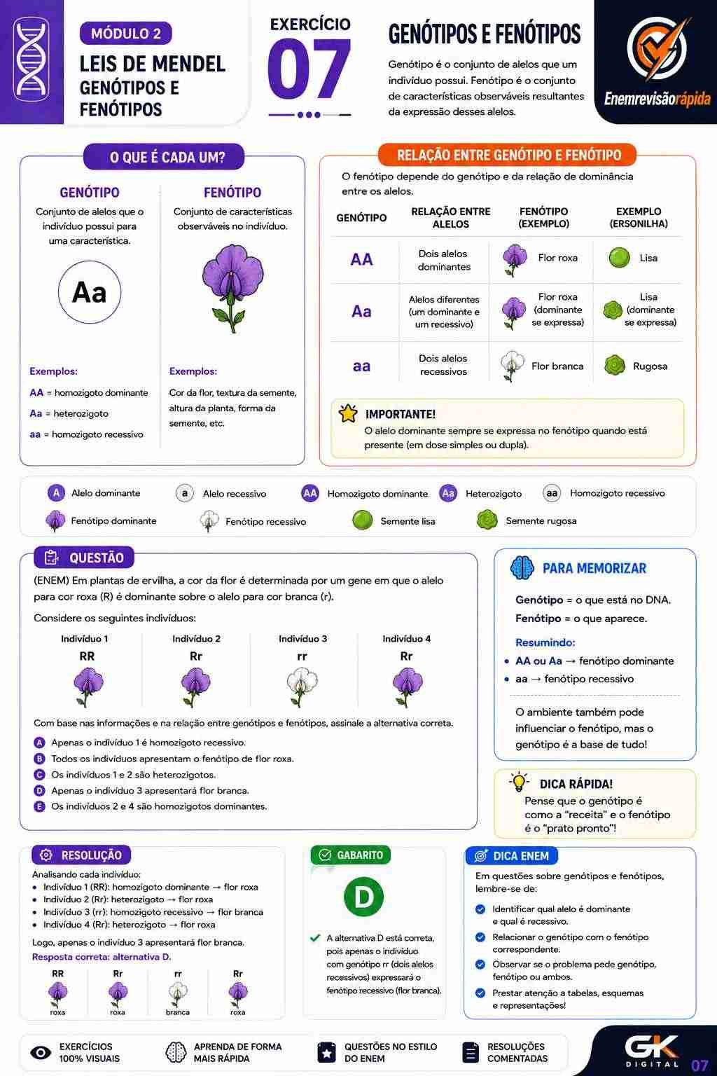 Prévia resumo visual de Biologia