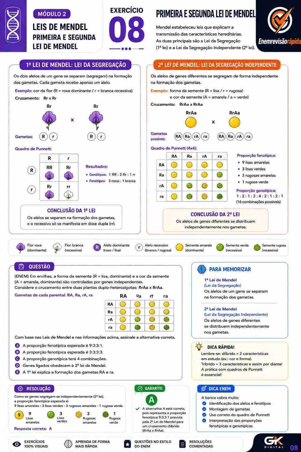 Prévia resumo visual de Biologia