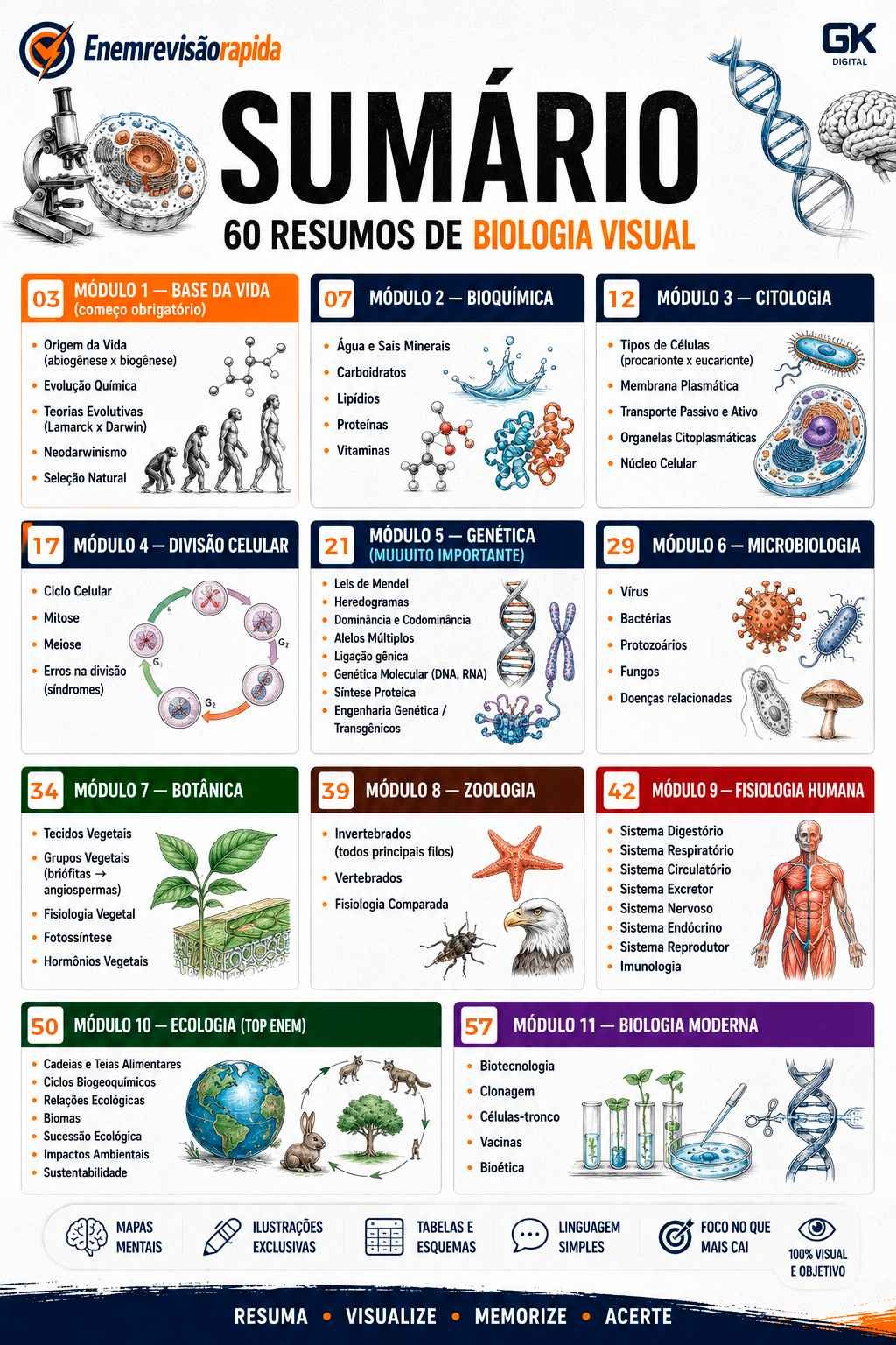 Sumário dos resumos visuais de Biologia