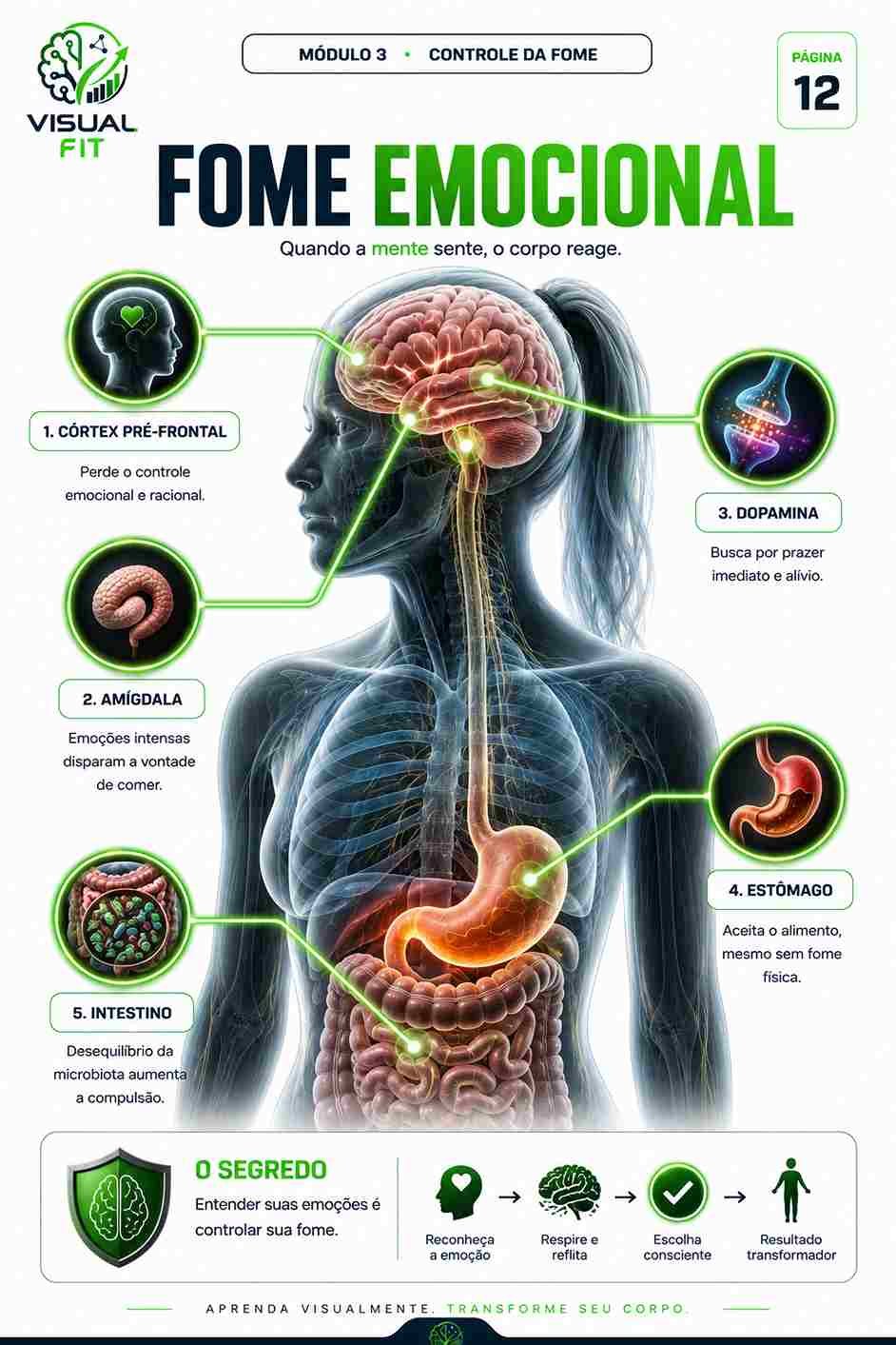 Prévia resumo visual de Química