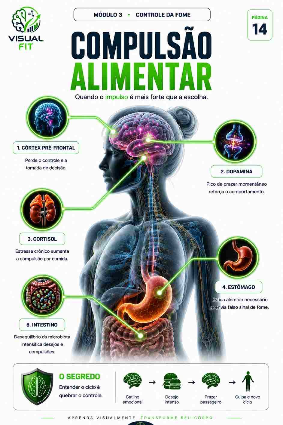 Prévia resumo visual de Química