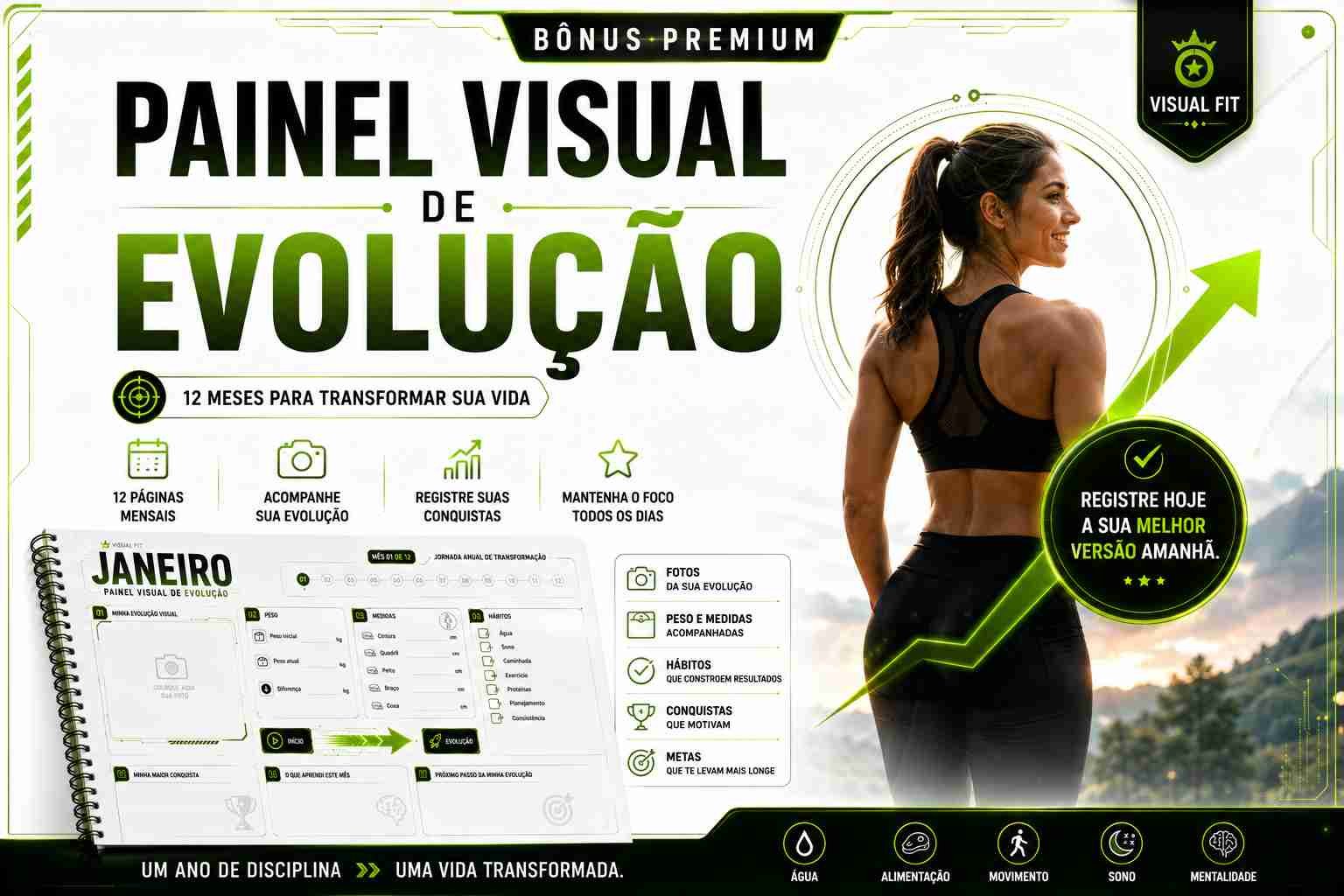 Painel Visual de Evolução